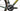 Ridley Grifn Rival 2026 - SRAM Rival AXS 2x12sp - ZIPP 303S