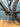 Trek Checkpoint SL 7 - SRAM AXS 2x12sp