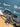 Bottecchia Aerospace Disc 2026