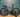 Colnago V4Rs UAE Emirates