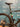 Colnago C68 Ultegra 12v - Ultegra Di2 2x12sp