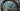 Focus Izalco Max 9.9