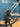 Megamo Raise - SRAM Force eTap AXS 2x12sp