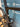 Bottecchia Aerospace Disc 2026