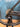 Focus Izalco Max 9.7 2026
