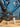 Wilier 0 SLR Super Record EPS
