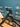 Focus Izalco Max Disc