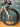 Wilier Filante SLR Tricolore