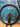 Focus Izalco Max Disc
