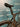 Trek Madone SLR 7 Gen 7 - SRAM AXS 2x12sp
