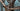 Focus Izalco Max 9.9