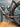 Focus Izalco Max 9.9