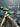 Wilier Filante SLR Tricolore