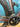 Giant Propel Advanced 1