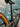 Megamo Native 10 2025 - Shimano XT 1x12sp - DT Swiss M 1900