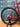 Colnago V4Rs 2026 - Shimano Ultegra Di2 12v