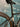 Colnago V4Rs UAE Emirates