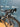 Focus Izalco Max 9.7 2026