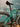 Specialized S-Works Tarmac SL6 Bora 2026