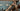 Focus Izalco Max 9.9
