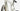 Trek Madone SLR 9 Gen 8 2026 - Shimano Dura-Ace Di2 2x12sp - Bontrager Aeolus RSL 51