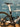 Pinarello Dogma F Disc