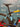 Trek Domane SLR 7 Team Replica - SRAM AXS 2x12sp