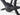 Trek Domane+ ALR 5 2026 - SRAM Apex XPLR 1x12sp - Bontrager Paradigm 23