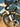 Enve Melee Ultegra 12s - Shimano Ultegra Di2 2x12sp