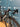 Focus Izalco Max 9.9