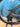 Focus Izalco Max 9.9