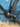 Colnago C68 - Shimano Ultegra