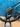 Focus Izalco Max Disc