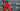 Wilier Filante SLR iD2 Enve 4.5 PRO 2026