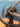 Focus Izalco Max 8.9