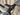 Cannondale Supersix EVO Disc - Shimano Ultegra R8000 2x11sp - HollowGram 35 HG carbon