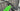 Cannondale Moterra Neo 3+ 2021 - Shimano XT 12-speed