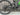 Cannondale Moterra Neo 3+ 2021 - Shimano XT 12-speed