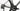 Scott Addict RC Pro 2027 - Shimano Dura-Ace Di2 - Syncros Capital 40 CF I