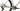 Scott Speedster Gravel 10 2026 - Shimano GRX 1x12sp - Alex Race X25 Disc