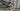 Cannondale Moterra Neo 3+ 2021 - Shimano XT 12-speed
