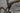 Lapierre Aircode DRS 2024 - Shimano Ultegra Di2 2x12sp - Miche React