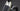 Cube Supreme RT Hybrid Comfort EXC 600 champagne´n´grey Easy Entry 2026 - 26"