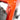 Kneissl Design FS04 Gebrauchtrad 2024 - SRAM SX Eagle 1x12sp - 29"