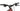 Crussis e-Full 12.11 2026 - SRAM GX Eagle Transmission 1x12sp - Crussis 29