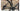 Specialized S-Works Tarmac SL6 2020 - SRAM Force eTap AXS 2x12sp - Mavic Cosmic SL 32 Disc