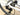 Guerciotti Veloce S 2026 - Shimano Dura-Ace Di2 2x12sp - Vision SC 40 Disc