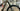 Focus Jam2 SL 8.7 2026 - SRAM NX Eagle 1x12sp - RaceFace ARC 30