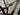 Focus Jam2 SL 8.7 2026 - SRAM NX Eagle 1x12sp - RaceFace ARC 30