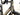 CERVÉLO Caledonia 2026 - Shimano 105 2x12sp - Vision Team i23 Disc